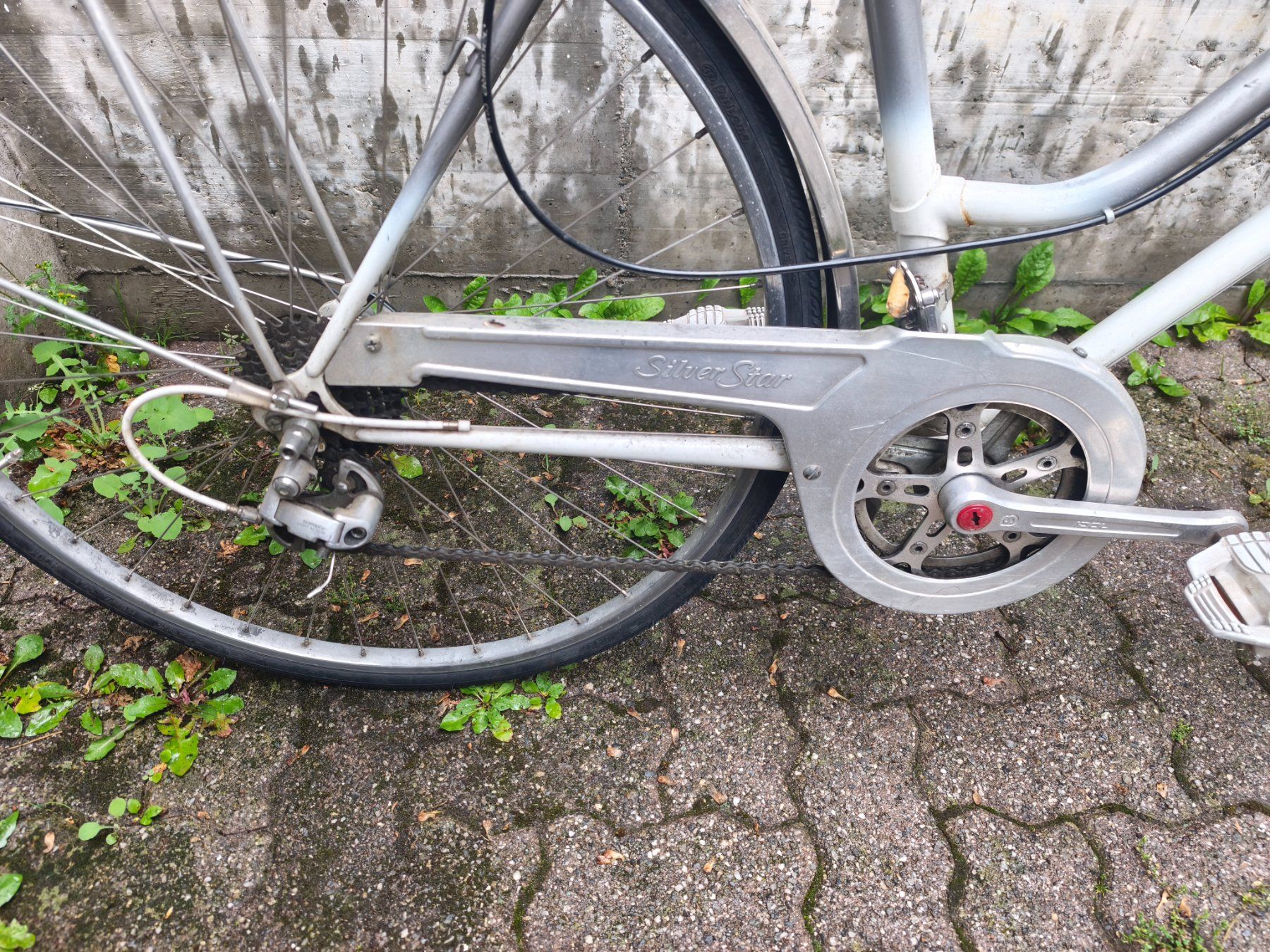 Cilo Velos: Cilo Damenfahrrad – Defekt aus Chur von tun_dy8m 1