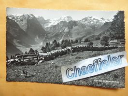 1954  Auf der Braunwaldalp