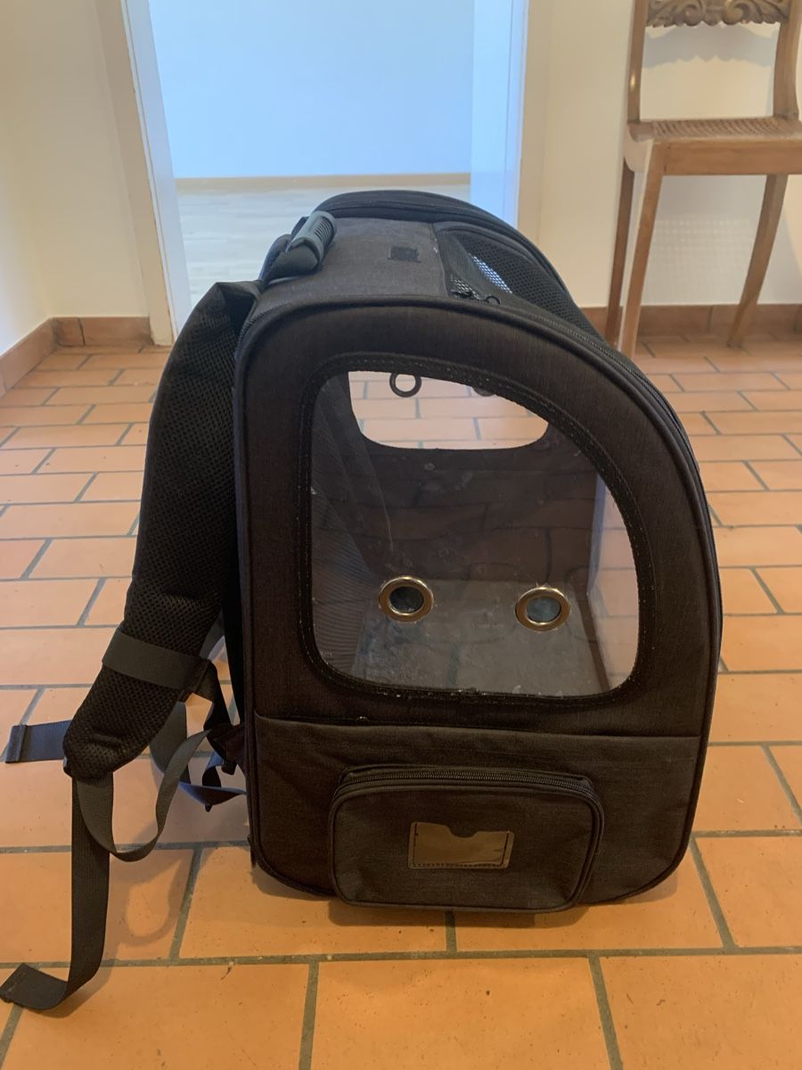 Rucksäcke: Hunde-Rucksack – Neu (gemäss Beschreibung) aus Zürich von Numahn 1