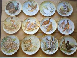 SERIE "WILDVÖGEL DER WELT" 12 STÜCK GANZE SERIE