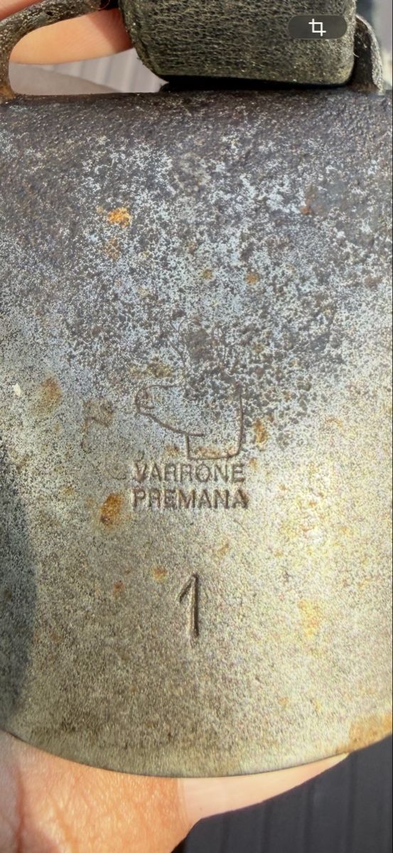 Campanacci mucche: Cloche Varonne  – Usato da Chessel venduto da Voyages--2020 5