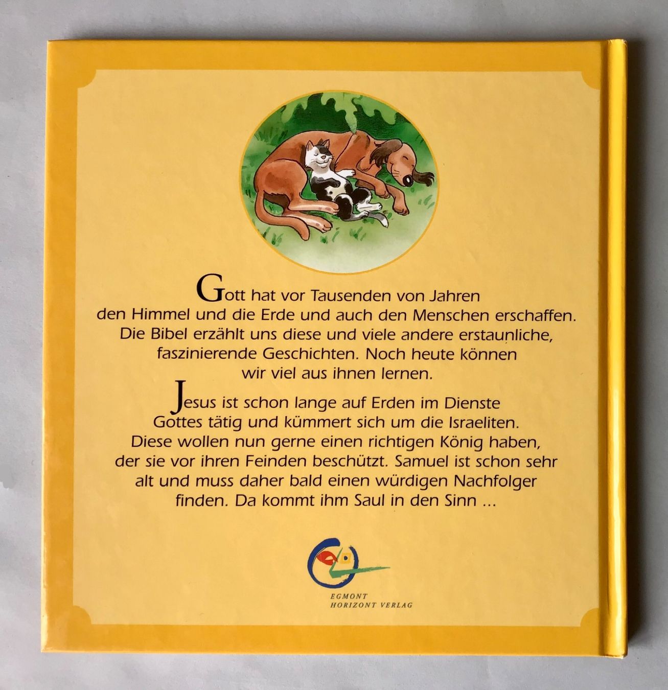 Bücher: biblische Geschichte: König Saul – Neu (gemäss Beschreibung) aus Bubendorf von Alpenheidi 1
