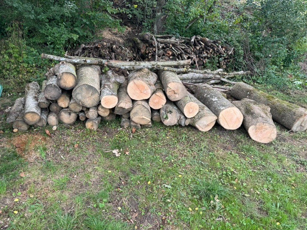 Articoli in legno: Holz Esche – Usato da Villmergen venduto da eschaton5
