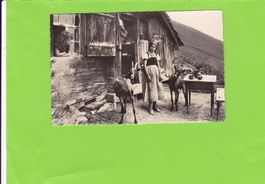 Alphütte-Ziegen-Bäuerin