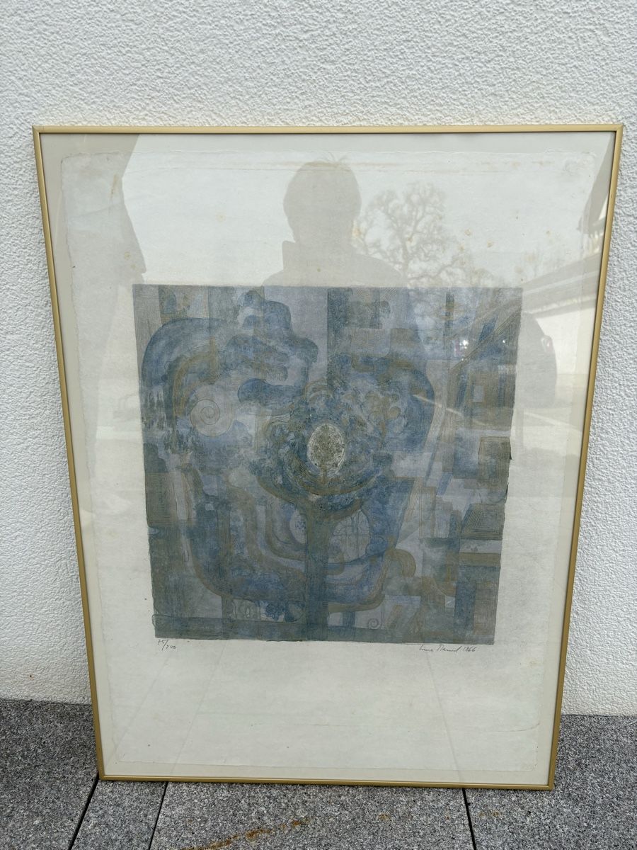 Arts picturaux & lithographies: Lithographien Irma Bamert – D'occasion à Schönenberg ZH par Roxana8820 5