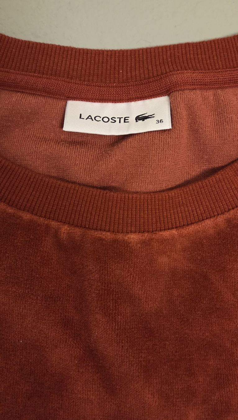Lacoste Maglioni & Felpe: Lacoste Pullover – Usato da Ettingen venduto da ssc_dsr2 1