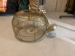 Lampe Gold 