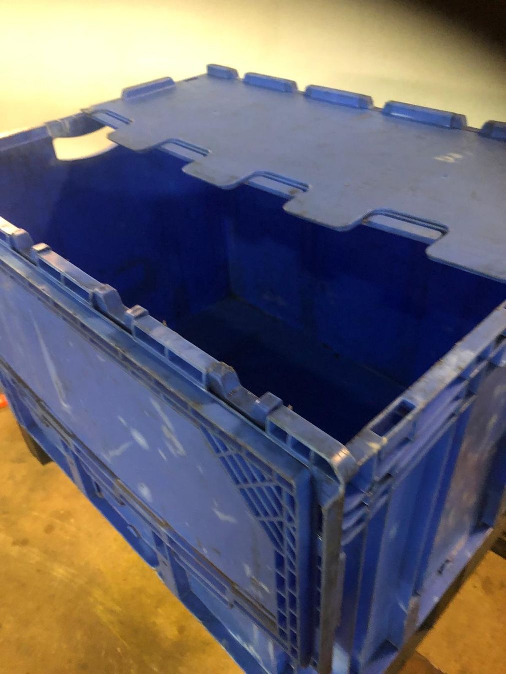Casse di trasporto: Kunststoffbox/Transportbox mit Deckel – Usato da Gebenstorf venduto da ren_gmv8 1