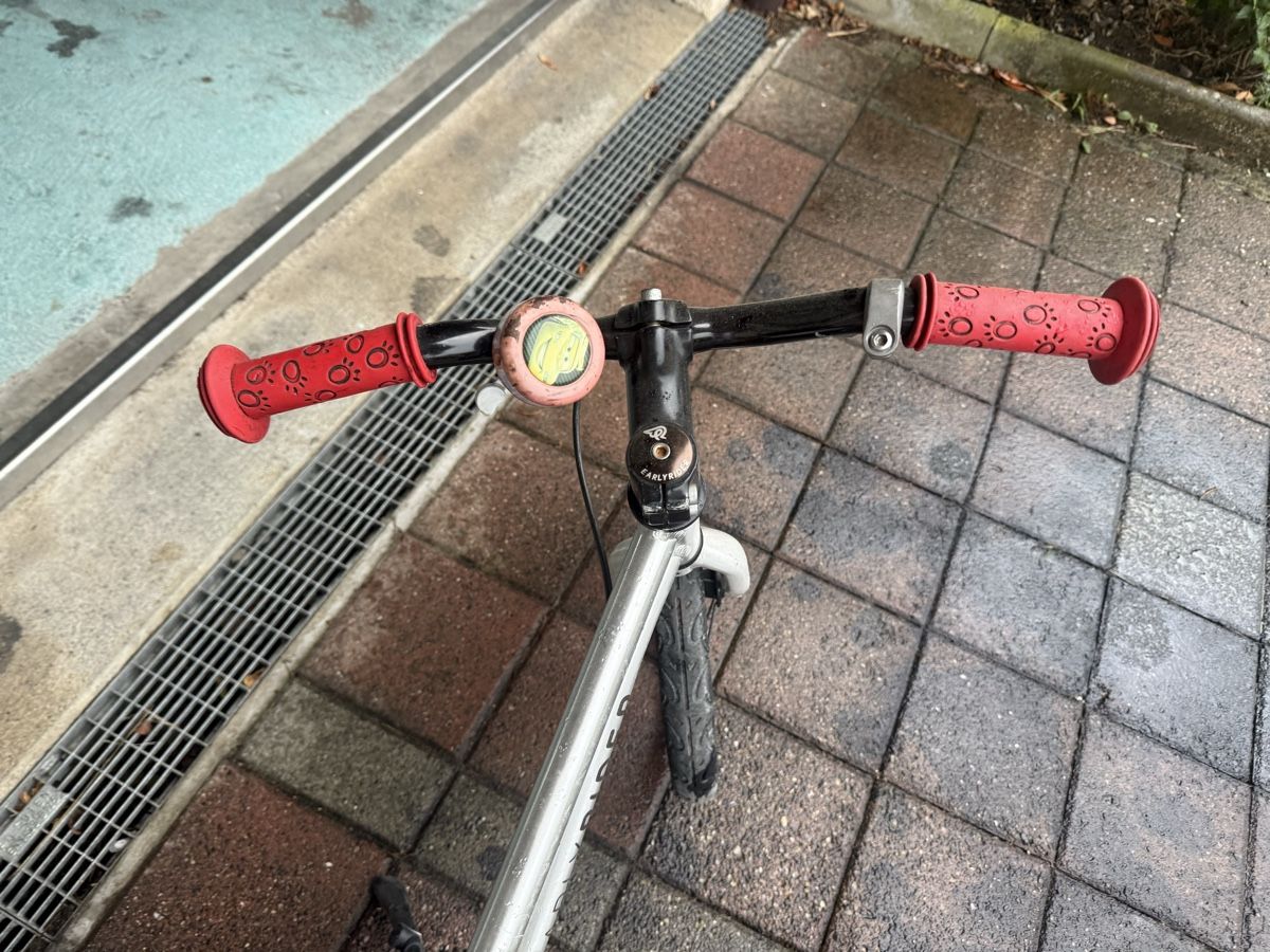 Early Rider Biciclette: Early Rider Belter 16 Trail – Usato da Wohlen AG venduto da stu_8f99 2