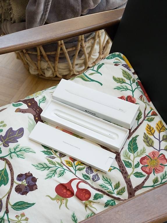 Penna & Evidenziatori: Apple Pencil 2. Gen – Usato da Vevey venduto da gianbrasa 3