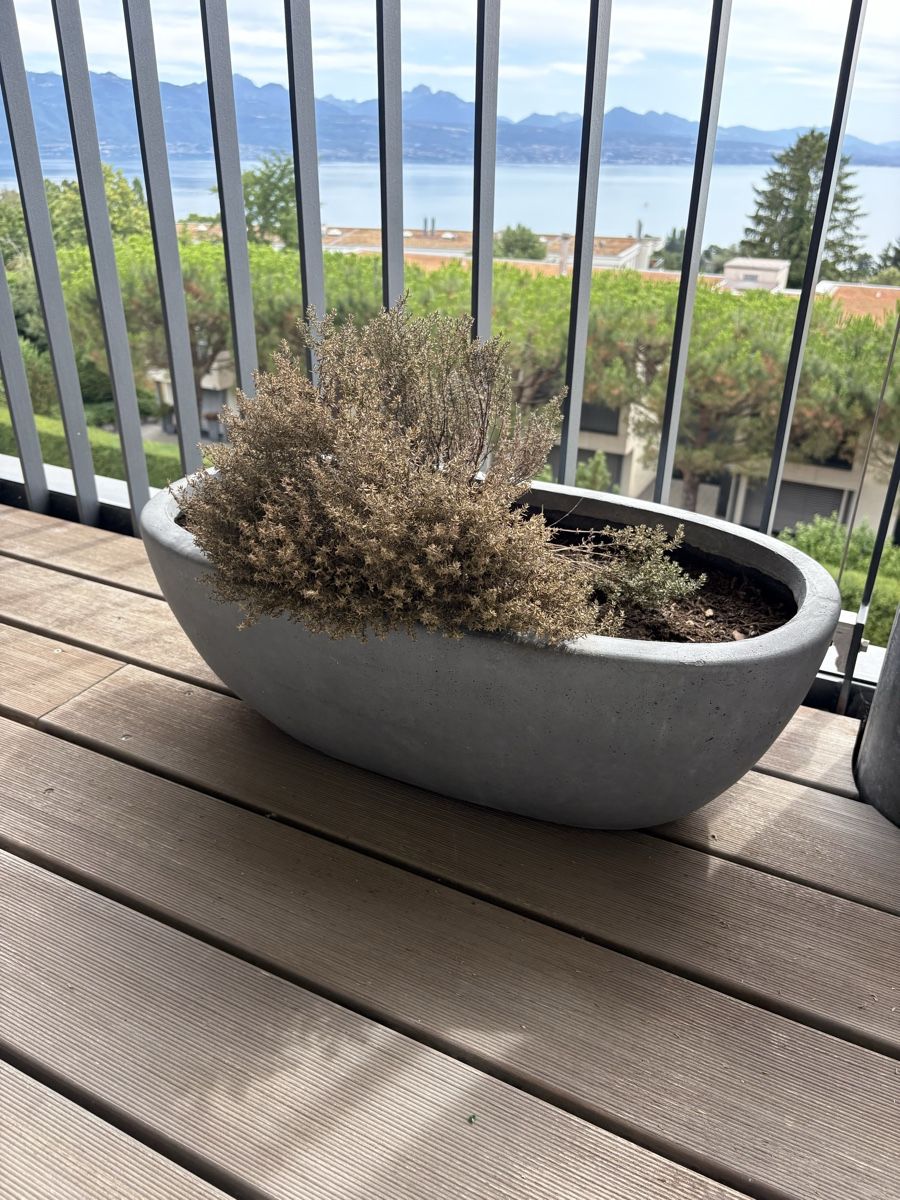 Blumentöpfe: Plant pot – Gebraucht aus La Conversion von chi_td5v