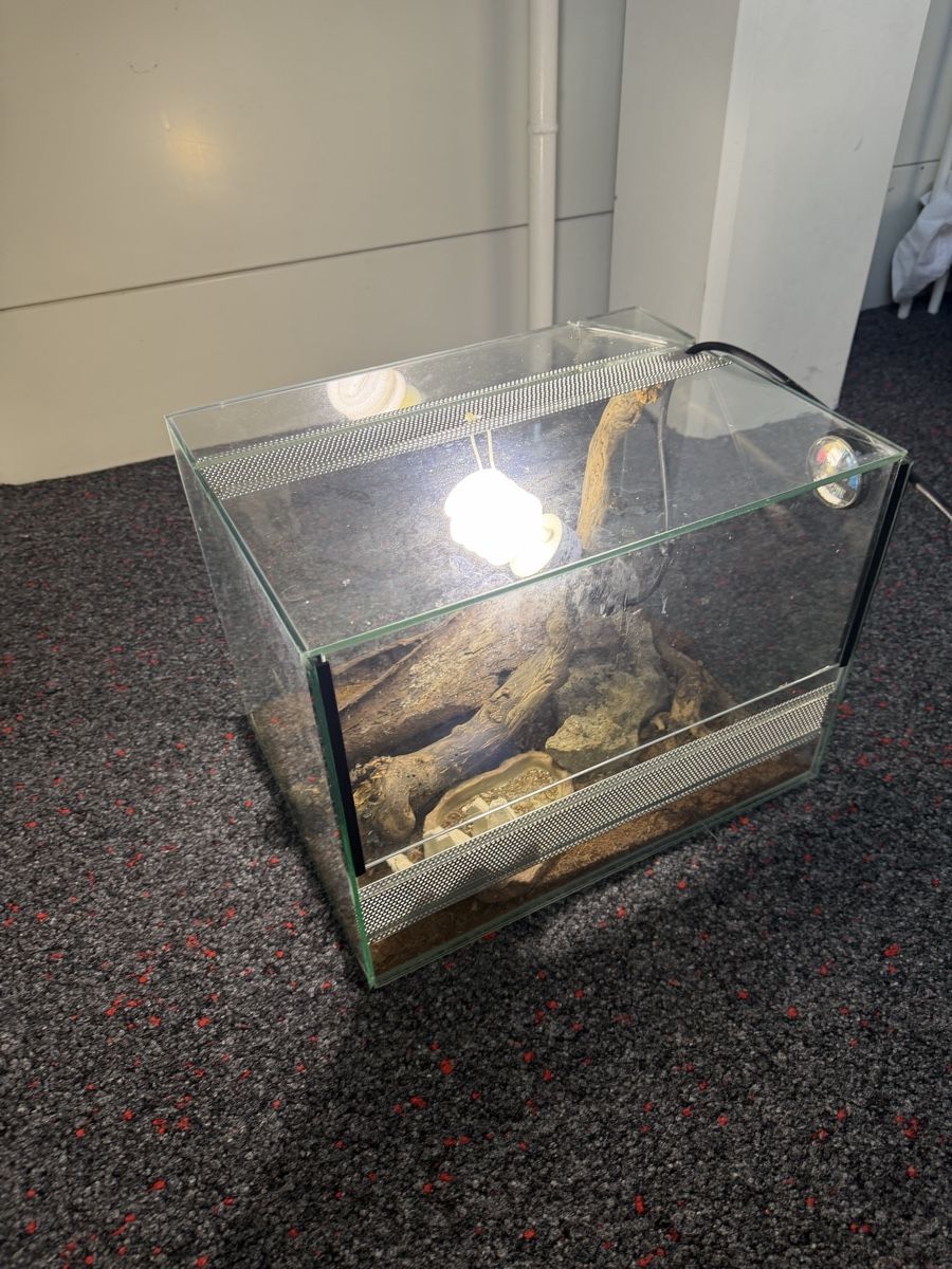 Terrarium: Terrarium Glas beschädigt – Gebraucht aus Heimiswil von Mad2mad 1