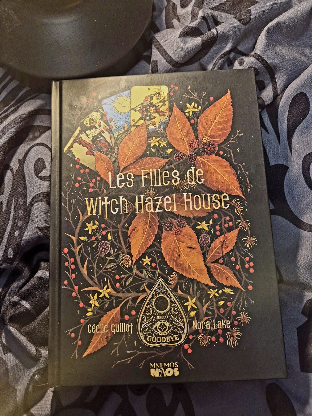 Libri: Les filles de Witch Hazel House – Usato da Fleurier venduto da cin_7qkd
