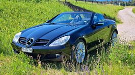 Mercedes-Benz SLK 280 frisch ab MfK und Service