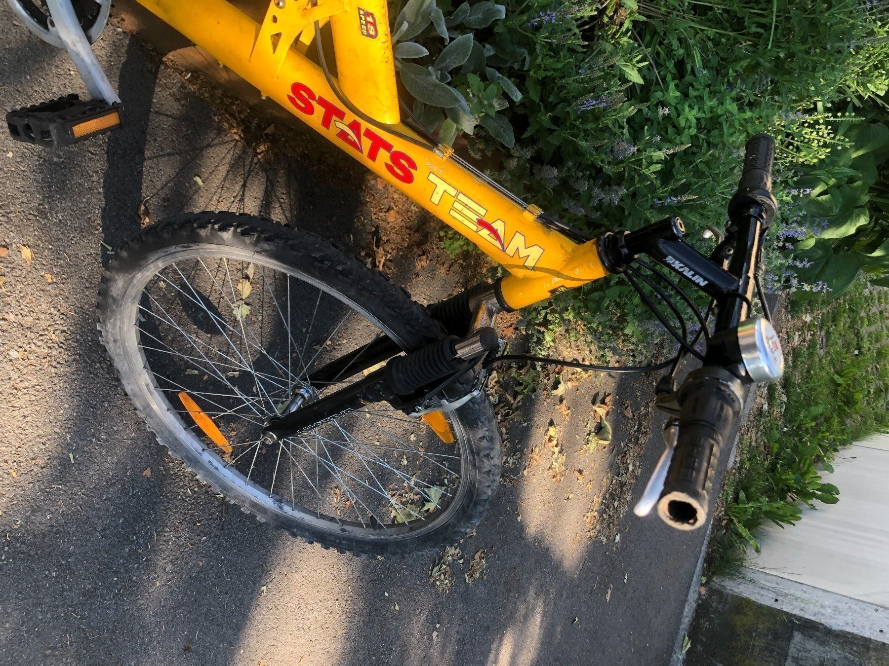 Velos: Mountainbike Stats Team – Gebraucht aus Schlieren von Flower5 3