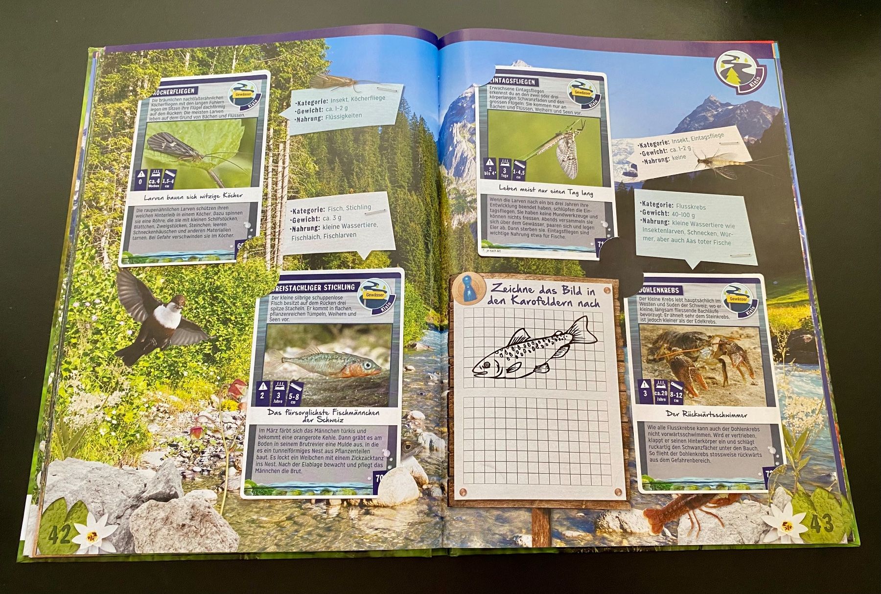 Libri: Abenteuer Natur / Coop / WWF – Usato da Nussbaumen AG venduto da schuba2000 4
