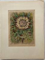 Handkolorierte Radierung, Sonnenblume, signiert