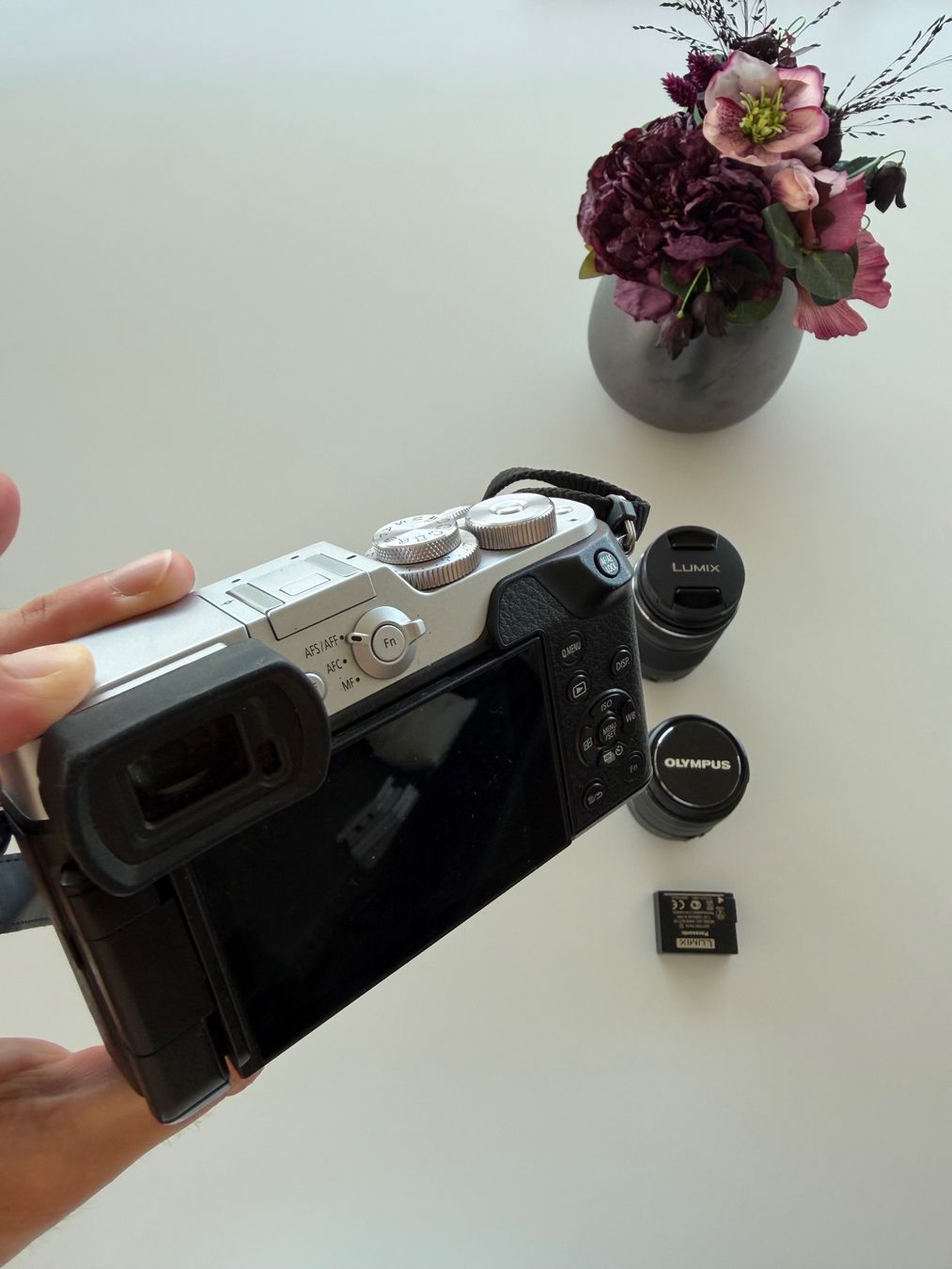 Panasonic Fotocamera: Panasonic Lumix GX8 – Usato da Berlingen venduto da cr7yann 1