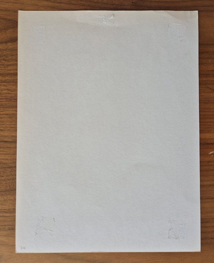 Incisioni: Gravure "suite Vallard" d'après Picasso – Usato da Tramelan venduto da La_mine_d_art 5