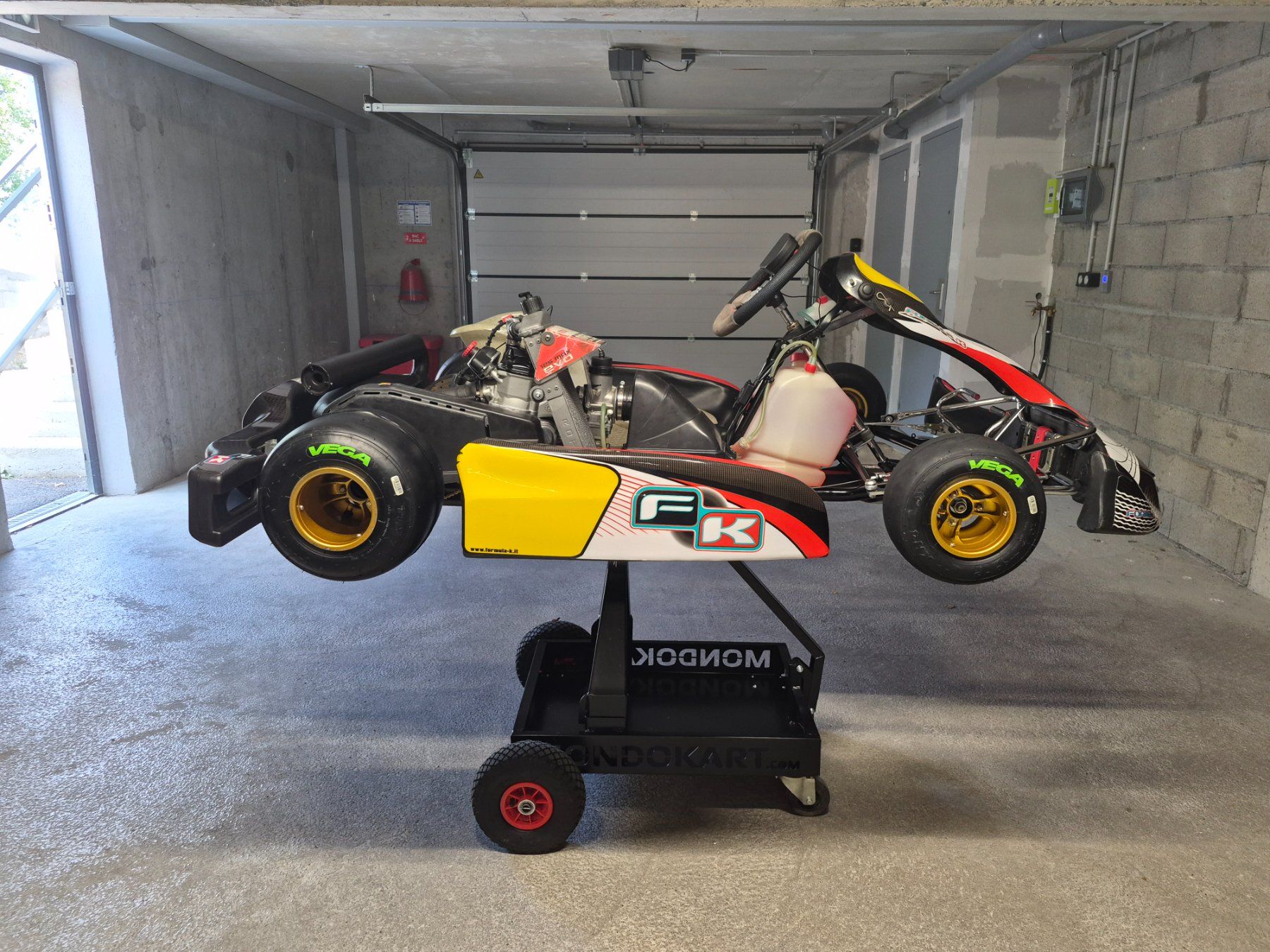 Rotax Go-Kart: Kart Rotax Max 125 – Usato da Onex venduto da MauroFrancesco 1