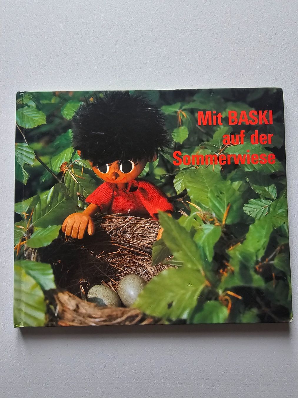 Libri: Baski Buch – Usato da Balterswil venduto da Dikdik1992