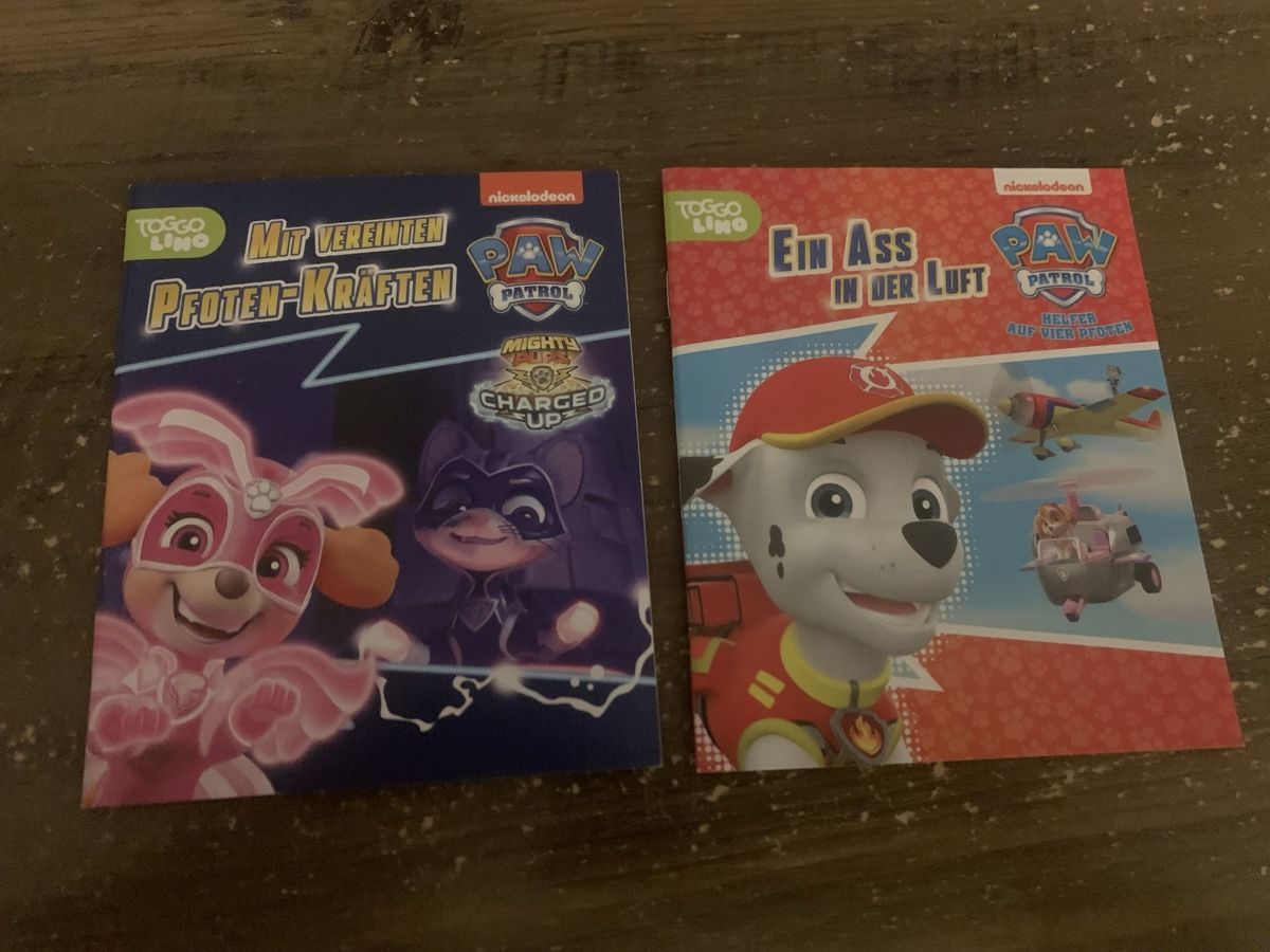 Libri: 2er Set Paw Patrol Büchlein – Usato da Buus venduto da 2013dp