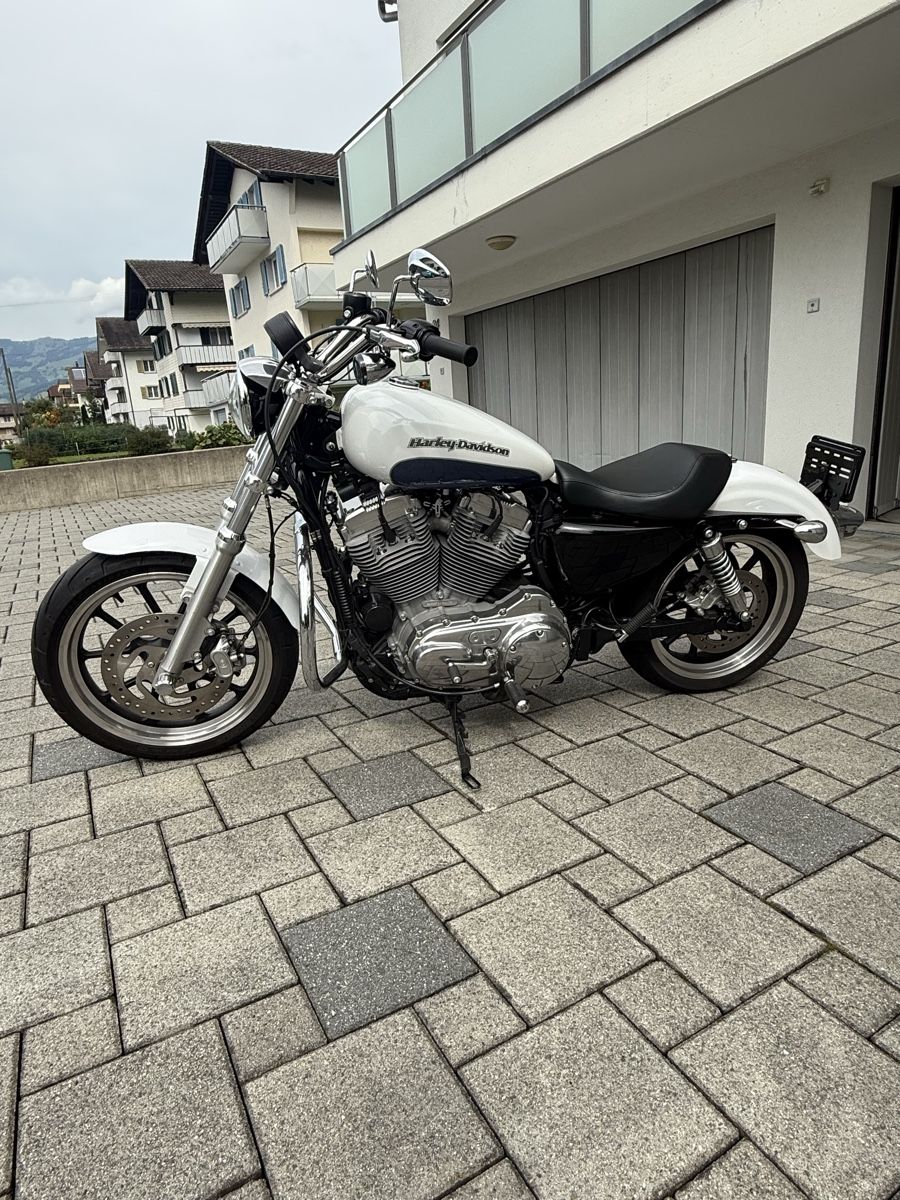 Harley-Davidson Chopper: Harley-Davidson XL883 Super Low. Top Zustand – Gebraucht aus Ibach von Skoda2004 1