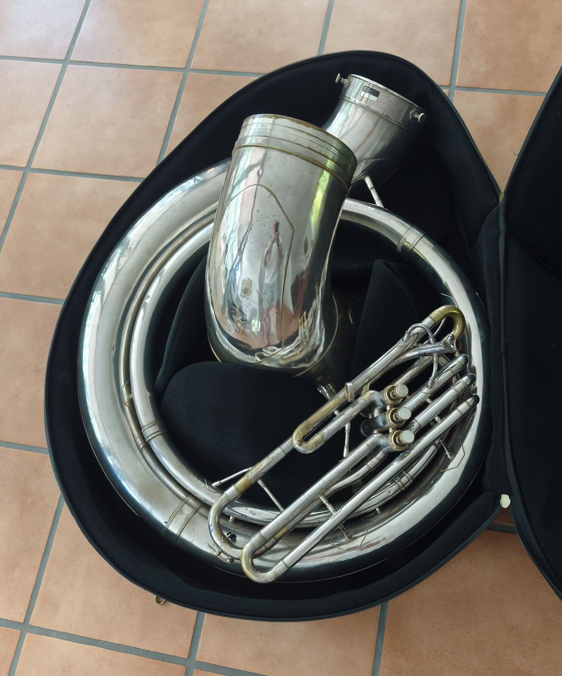 Musikinstrumente: Sousaphon - Einmalige Gelegenheit – Gebraucht aus Hofstetten SO von JulZim 1