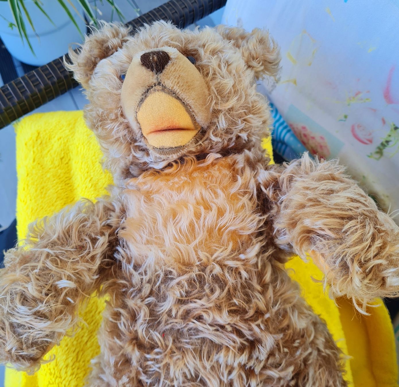 Jouets: Teddybär (Zotty Steiff ? ) – D'occasion à Siebnen par annigannig 3