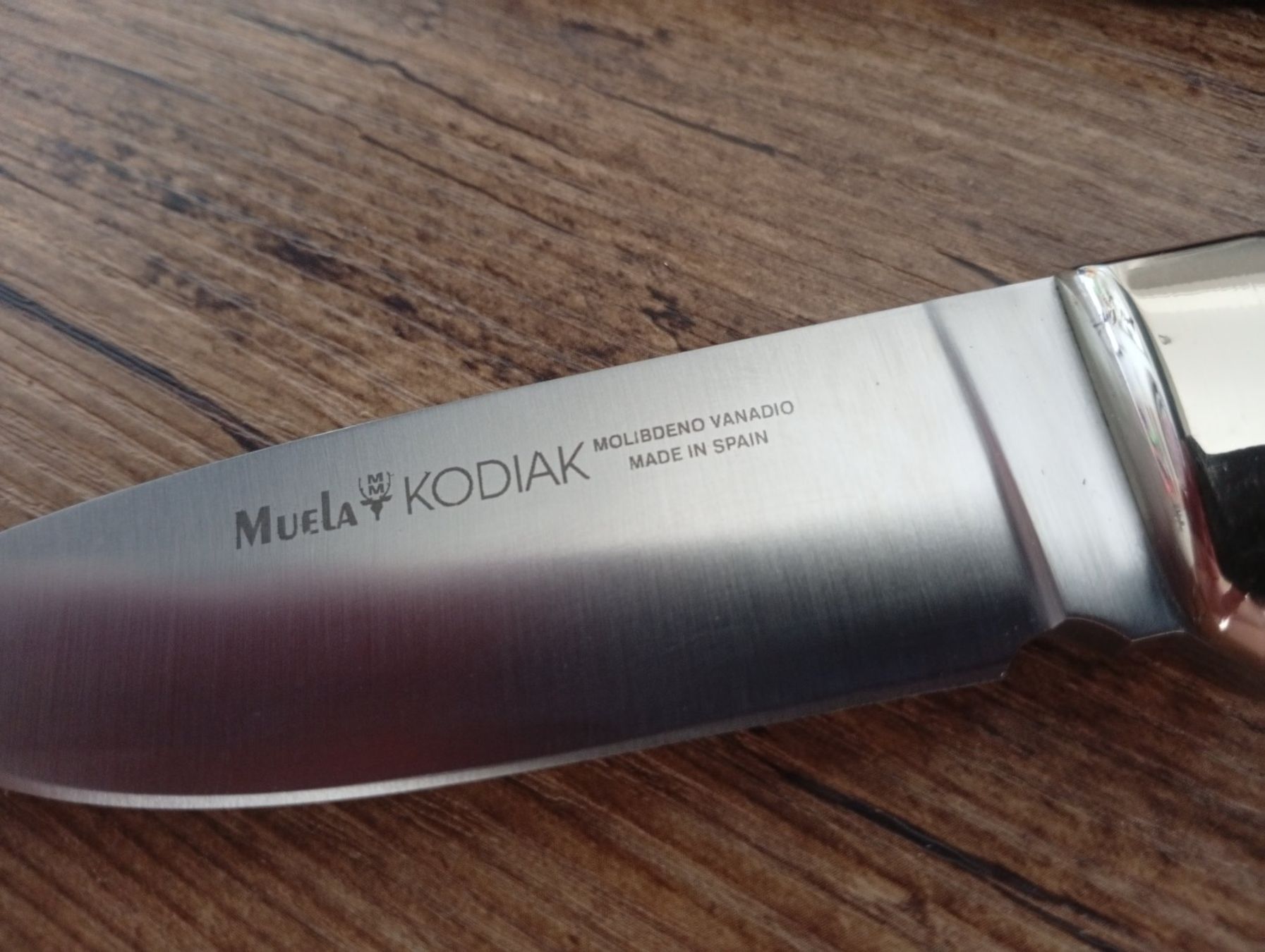 Muela Accessori: Muela Kodiak Messer Jagdmesser – Nuovo (secondo la descrizione) da Winterthur venduto da Rogue01 5