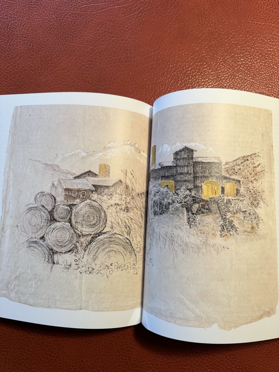 Libri: Bildband von Walter Dick & Werner Wiedenmeier Lithos – Usato da siebnen venduto da minte 7