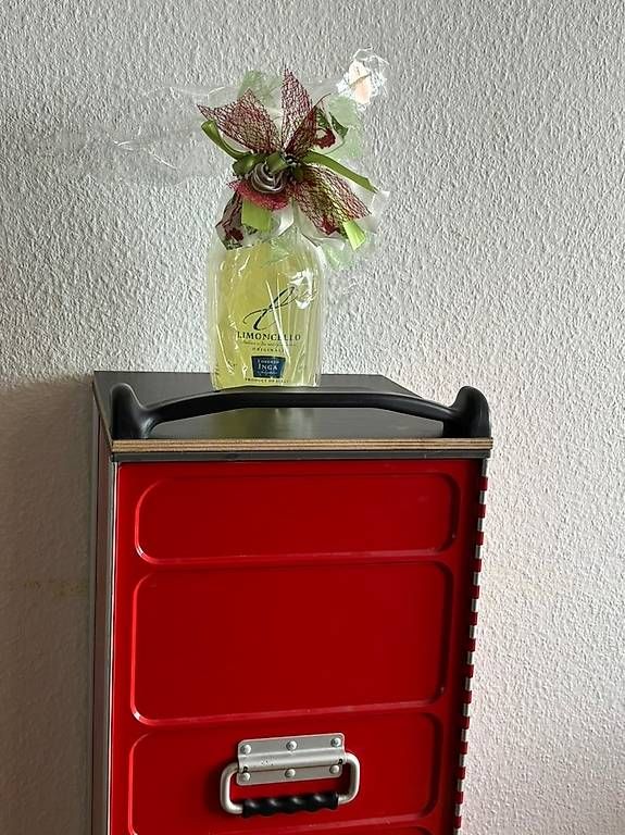 Valigie & Borse: Trolley «Storage»  – Usato da Galgenen venduto da wer_v9fb 8