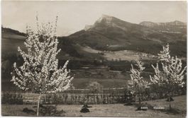 NESSLAU SG 1935 Max Burkhardt-Karte Nr. 4483