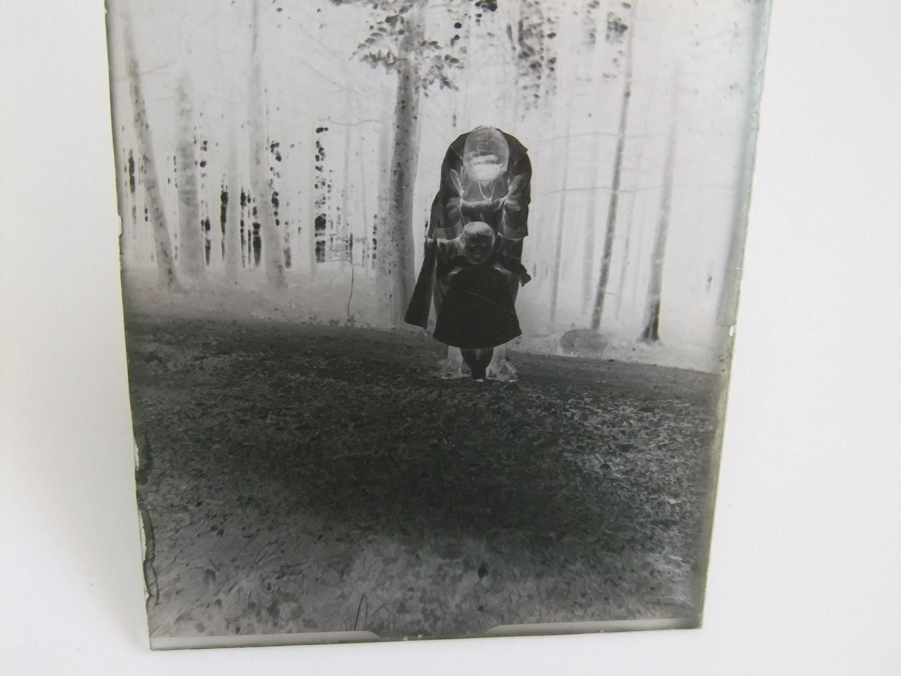Foto & Immagini: Glasnegative 1904 – Usato da Esslingen venduto da eintagammeer 7