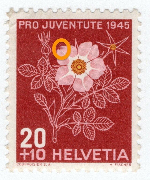 Tutti i francobolli: 50c PJ 1945 Fiore Alpi/dif. – Difettoso da BREGANZONA venduto da adelio8