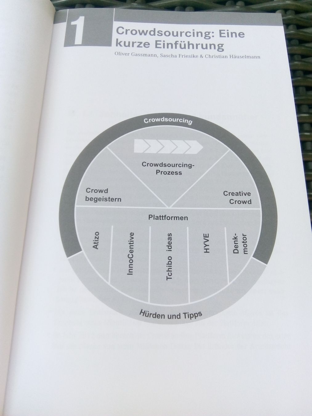 Libri: Crowdsourcing - Innovationsmanagement mit Schwarmintelligenz – Usato da St. Gallen venduto da elk2020 6