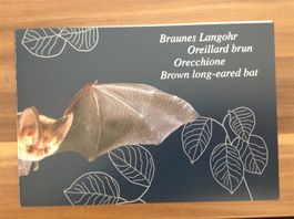 Philatelistisches Dankeschön Fledermaus braunes Langohr 2012