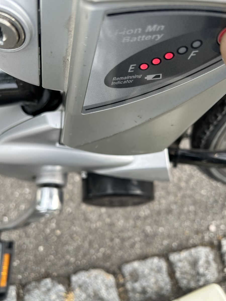 Rixe Vélos: Rixe E Bike mit 2 Batterie – D'occasion à Egerkingen par G1970B 7