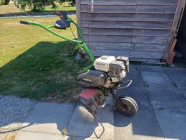 Gartenhacker