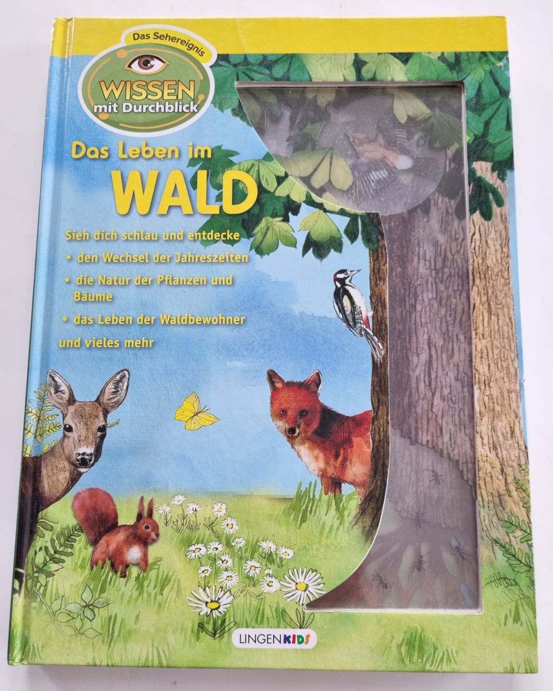 Libri: Wunderschönes, Wissen mit Durchblick: Das Leben im Wald – Usato da Opfikon venduto da Diversamente