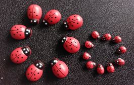 Marienkäfer 🐞 2 Größen 