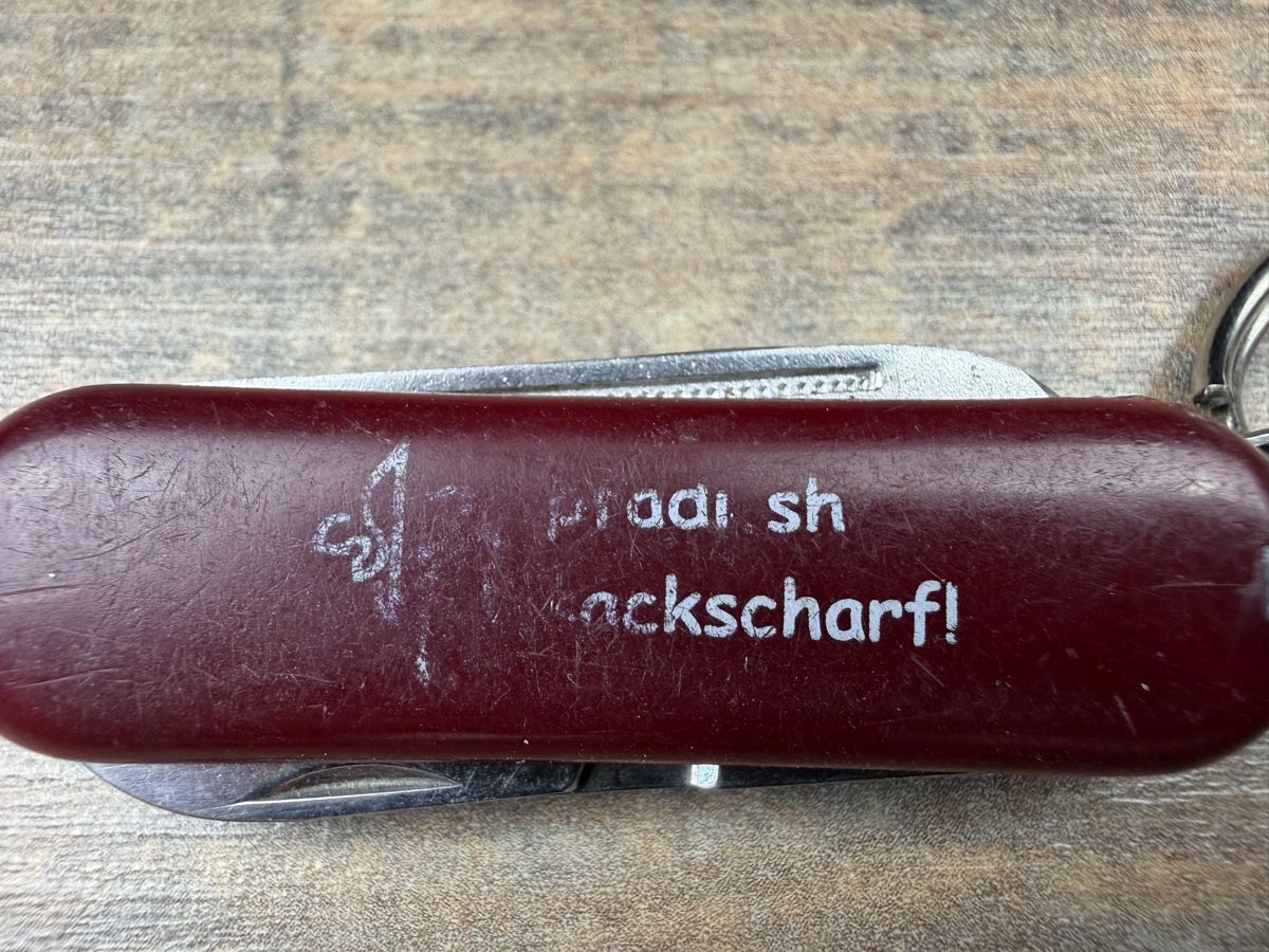 Victorinox Coltelli tascabile: Taschenmesser mit Schere und Schlüsselring Pfadi – Usato da Hallau venduto da R.R.91 3