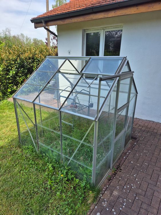 Gebrauchtes Gewachshaus Glas