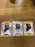SCB Sportzoo Nils Rhyn Rookies Set