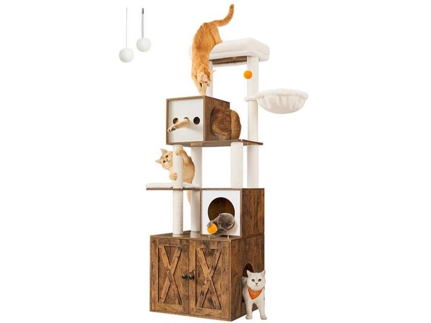 Katzenbaum - Kratzbaum: Kratzbaum Katzenbaum Mit Katzenschrank APOLLO – Neu (gemäss Beschreibung) aus Lachen SZ von MAMORU-MOEBEL