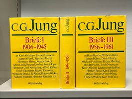 C. G. Jung Briefe 3 Bände