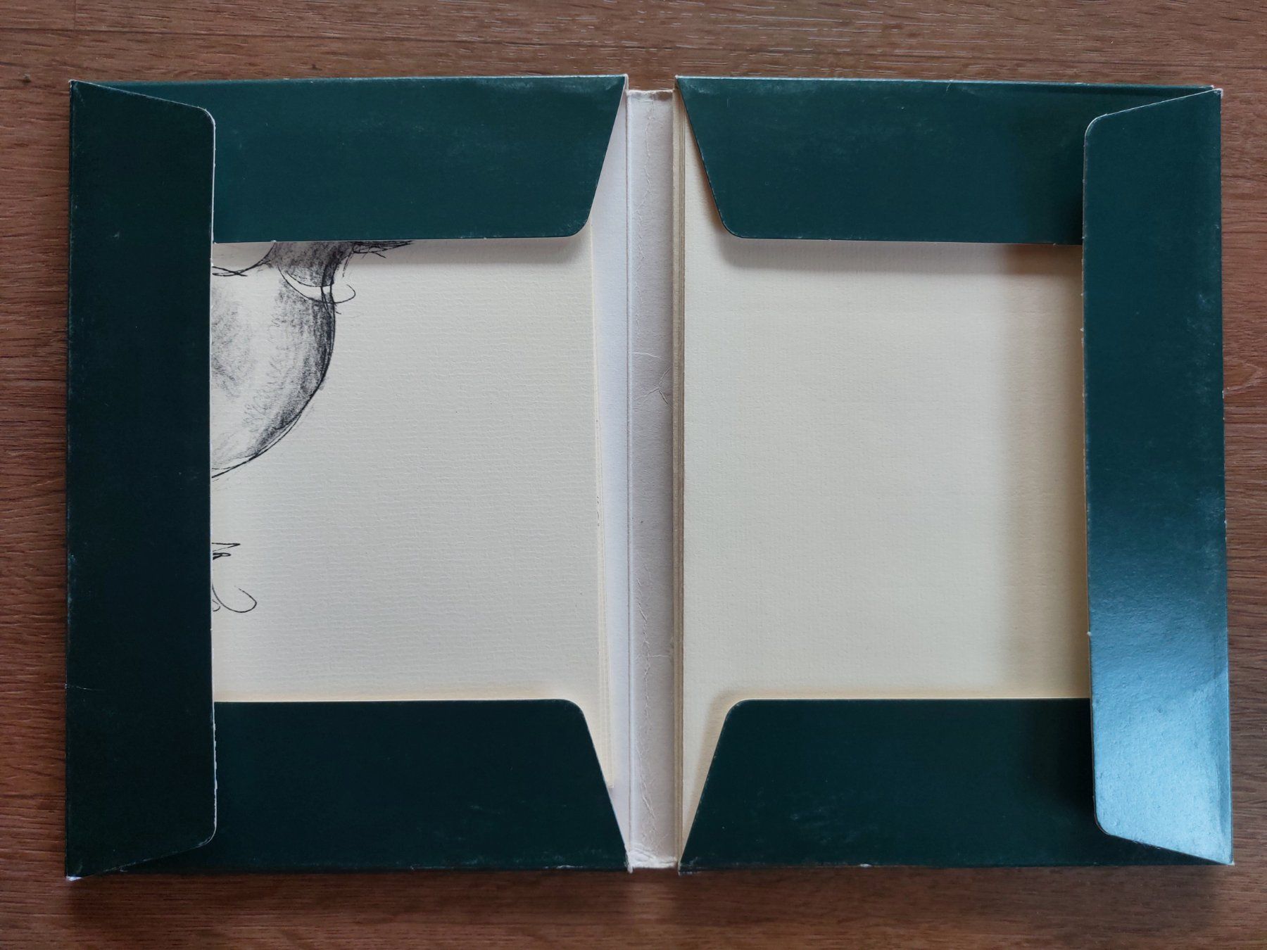 Gemälde: Kunstmappe Lotte Günthart meineTiere – Gebraucht aus Heerbrugg von Sonytime 1