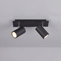 Deckenleuchte, 2 Strahler, 30 cm x 9 cm
