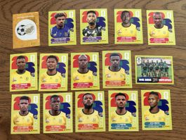 PANINI WM 2026 Bilder SÜDAFRIKA RSA