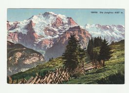 Ansichtskarte Jungfrau 4167m gelaufen 1921 gebraucht
